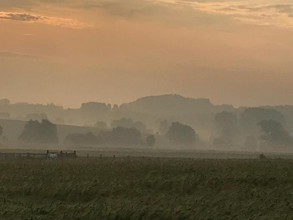 Kompas Gite Ellezelles Exterior foto